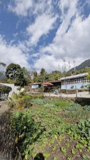 Yuksam Village Farmstay - 9