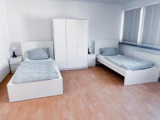 bookandstay24 Worms 5 Zimmerwohnung Rhein Neckar Raum - 5