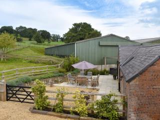 Black Lion Folly - Rhydymwyn - 1