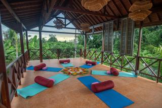 Soulstar Villa Ubud - 3