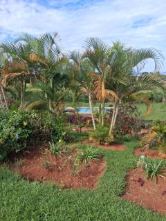 Kaz Breeze Gardens - Kampala - 3