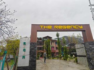 Palette Hotel Regency Valley View Pahalgam - 8