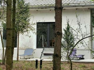 Lake House - 3