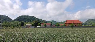 Herbal Farm Day Retreat- Viên Thông Đường - 9