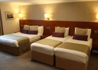 Golden Lion Hotel - 6