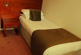 Golden Lion Hotel - 7