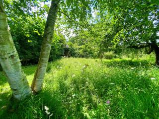 Moat Cottage, Newby Hall, Ripon, North Yorkshire -  - 3