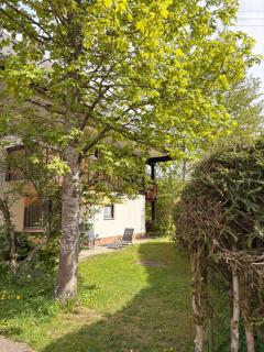 Gemütliche Ferienwohnung in Sankt Blasien - 7