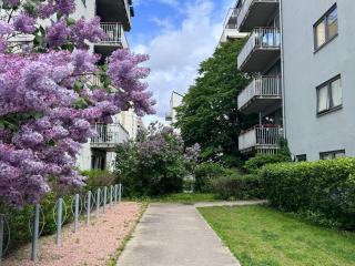 Central Oslo Executive 2-Bedroom Apartment lift Street Parking 8 guests - 9