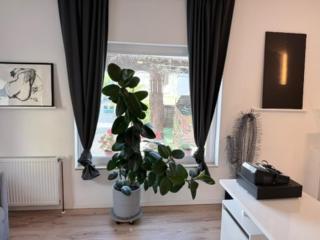Wohnstudio Millstatt - 1