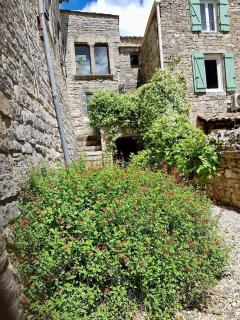 Petite maison de village, lumineuse et silencieuse - 9