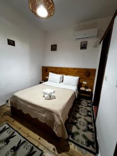 Guest House Salaria - 2