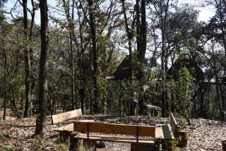 Cabaña Komorebi, Punta del Bosque - 9