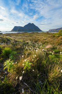 Secluded Lodge - Stunning Views! - 7
