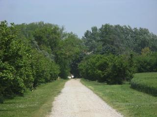 Mazeres Gite de Palosse Maison de campagne familiale Les delices aux noisettes - 5