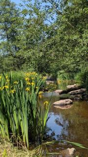 Suite privée Esther Gorges de l'Arzon près du Puy en Velay - 6