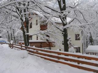 Casa de vacanta Mogosa - 7