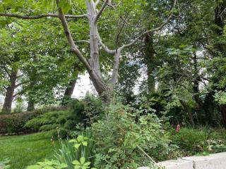 Peaceful Summer House with Garden near the Beach Kabakum , Varna - 6