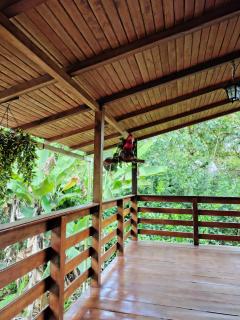 Mindo Sun LODGE - 6