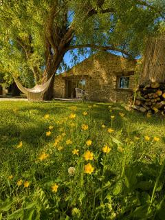 Domaine Le Jas 1872 Piscine, spa & Provence - Jonquières - 9