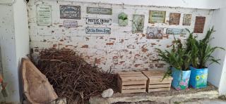 Flower house - 6