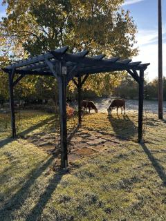 Escape to the land of cows - 0