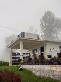 The White Haven Kotagiri - 9