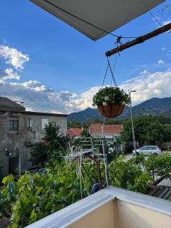 Guest House Dimos Kristi - 1