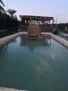 Casa Bartash Peaceful inclusive adults-only Retreat by Lake Qaroun - 7