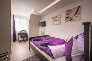 Max Aviation Villa & Apartments - Berne - 4