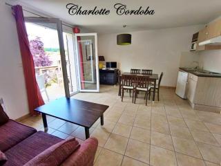 Appartement T3 Golf Albert - 7