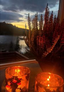 Cozy lakeside cabin - 4
