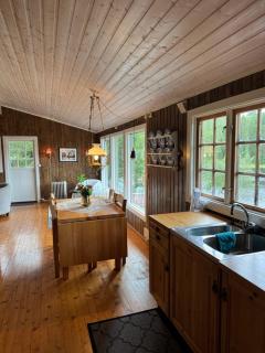 Lakeside cabin - 1