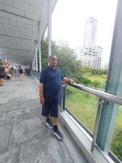 mesfing - 3