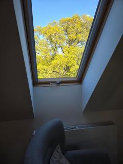 Apartament Pod Orzechem - 8