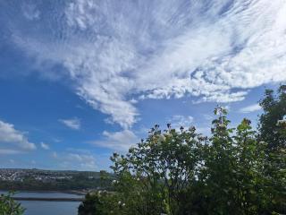 The Secret Garden - Goodwick - 8