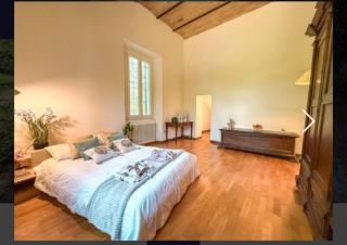 Villa Merlini - mare in pineta - 2