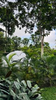 Tropical Escape Domes - 9