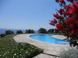 Pegasus Resort - Agia Paraskevi - 6