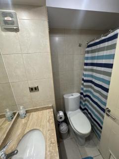 Spectacular apartment in downtown Chillan - 2