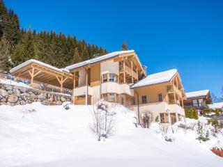 Chalet Sanna Hinterlengau - 0