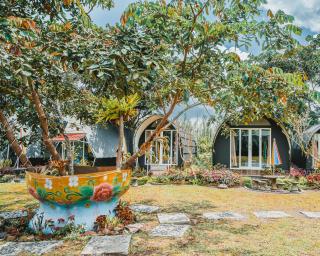 Catur Glamping Bedugul - 6