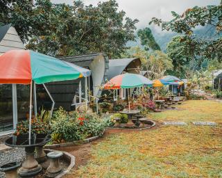 Catur Glamping Bedugul - 4