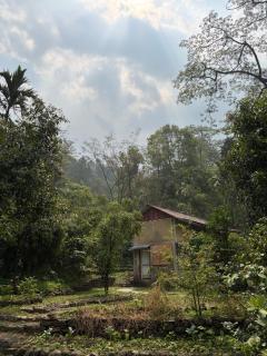 Gorubathan Forest Retreat - 7