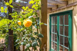 Wisteria Cottage - A Hidden Oneroa Escape - 3