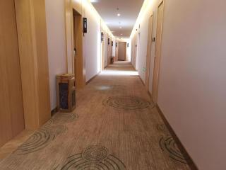GreenTree Inn Tongling City ZonGYAng County Qishan Road People's Hospital - 1