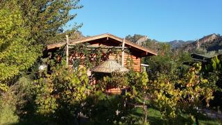 Sakin Vadi Winehouse - Orhaniye - 2