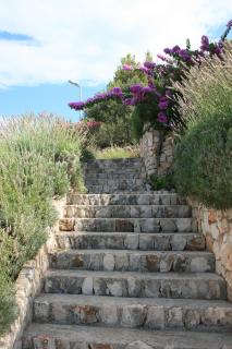 Villa Mira - Primošten - 8