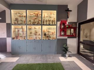 Cozy Loft 301 2BHK Malviya Nagar - 1