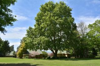 Halliwell Country Inn - Howick - 1